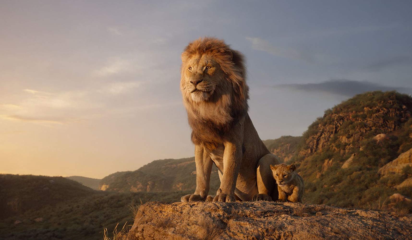 "Le Roi Lion 2" en live-action sera réalisé par Barry Jenkins ("Moonlight")