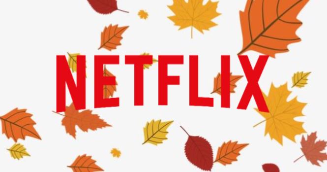 Netflix novembre 2020 : découvrez le programme pour la plateforme