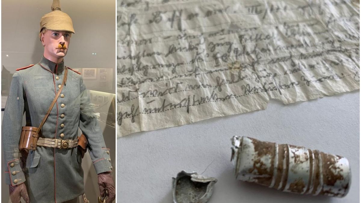 Quand un message perdu par un pigeon voyageur fut retrouvé 110 ans plus tard !