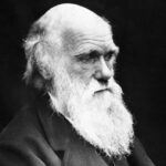 Le 24 novembre 1859 paraissait "L'origine des espèces" de Charles Darwin