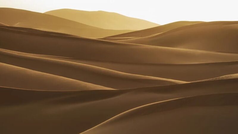 Avez-vous déjà entendu chanter les dunes ?