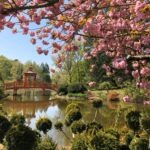 Découvrez le magnifique Parc Floral d'Apremont-sur-Allier ! - Cultea