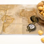 Découvrez l'histoire de l'introduction de la pomme de terre en Europe ! - Cultea