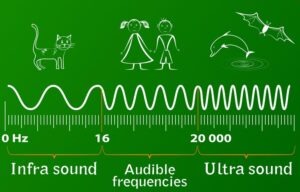 Comme le montre ce graphisme, l'être humain ne peut clairement percevoir qu'une fraction des ondes sonores émises sur Terre. - Cultea