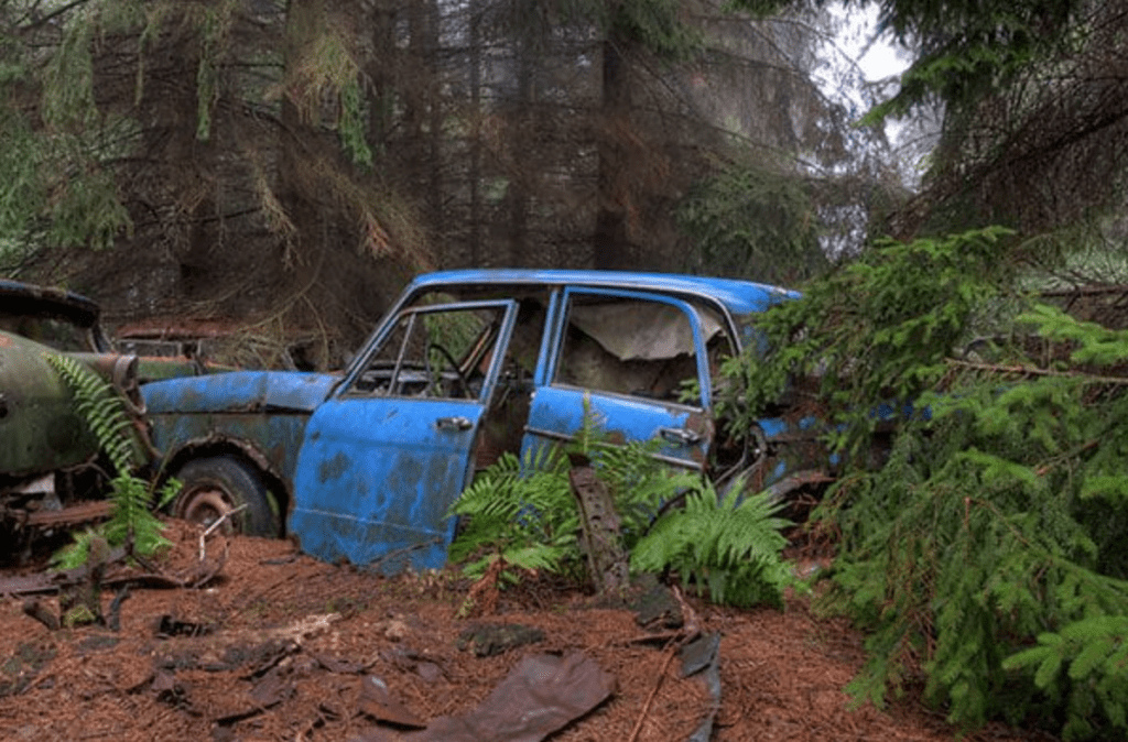 Cliché du cimetière de voitures américaines dans la forêt près de Châtillon, en Belgique - Cultea