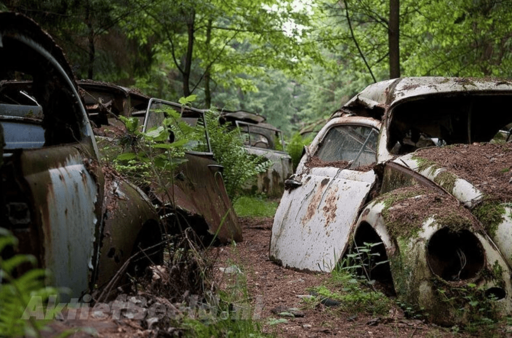 Cliché du cimetière de voitures américaines dans la forêt près de Châtillon, en Belgique - Cultea
