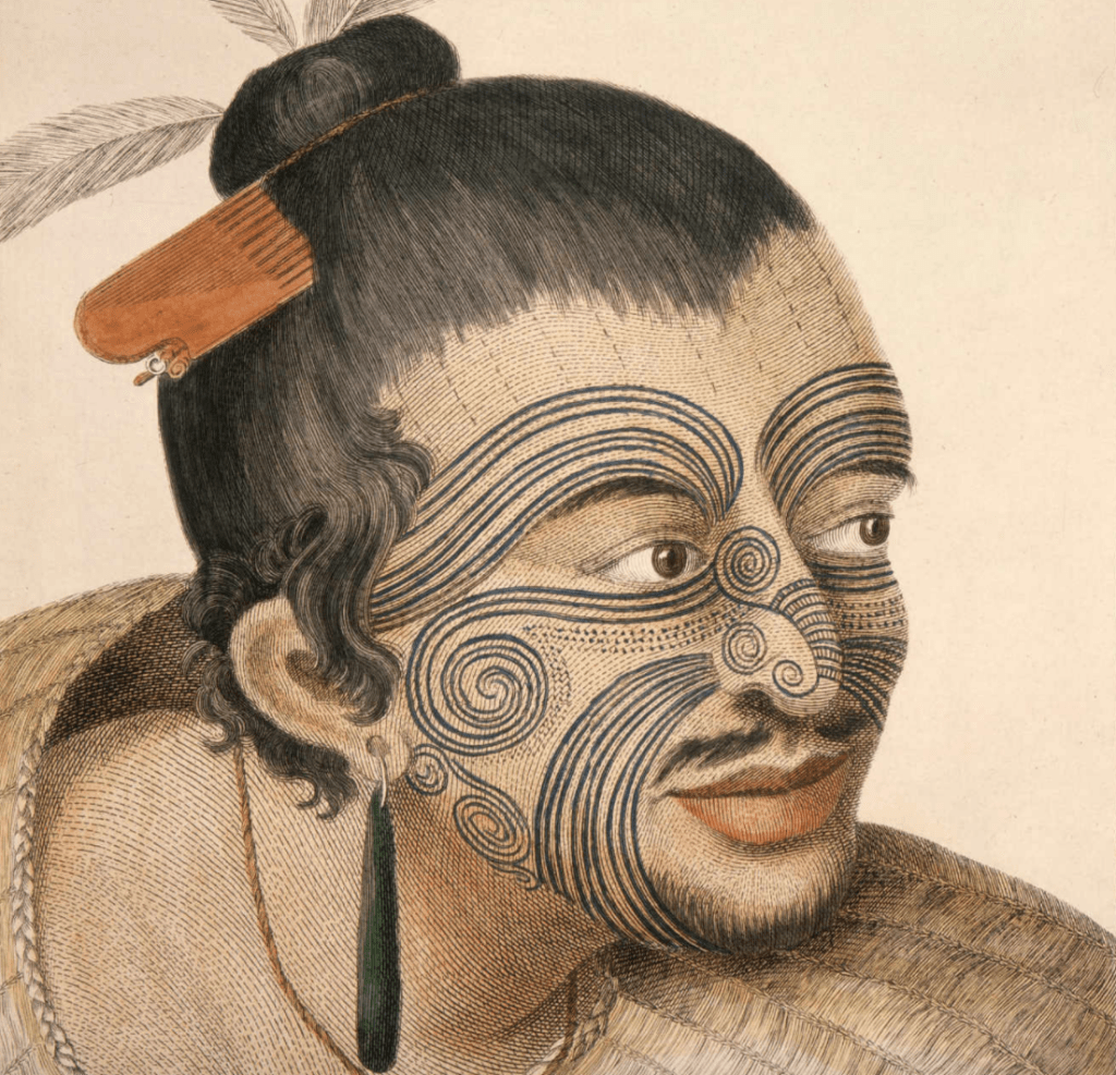 Dessin d’un chef maori réalisé en 1784 après le premier voyage de l’explorateur britannique James Cook en Nouvelle-Zélande - Cultea