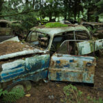 Le cimetière de voitures américaines au cœur d'une forêt belge