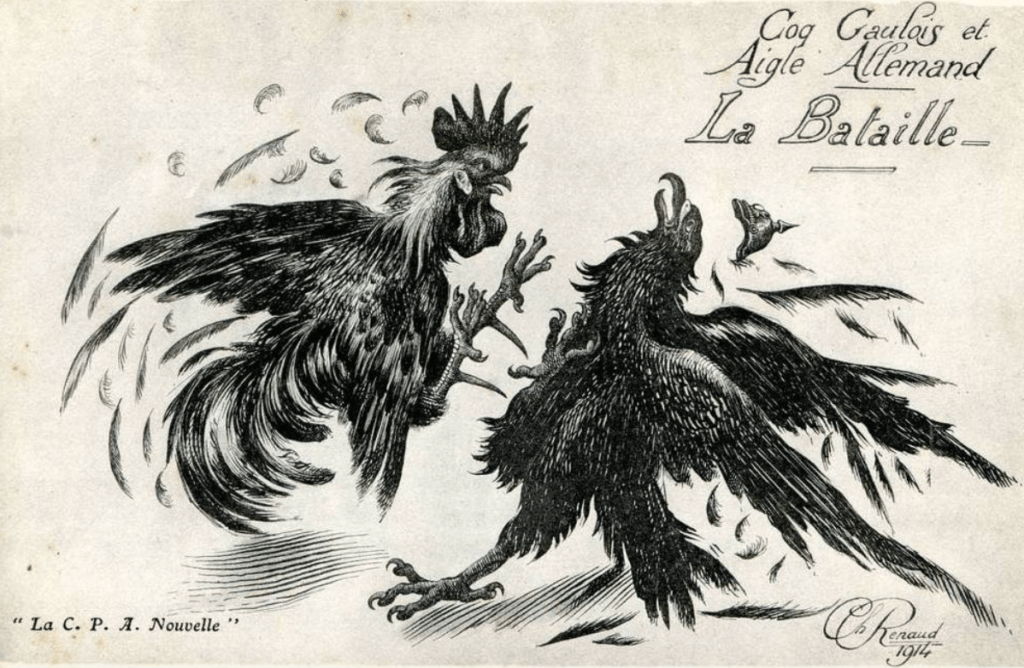 Le combat entre l'aigle et le coq
