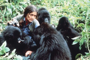 Dian Fossey, l'ange gardien des gorilles qui changea la société