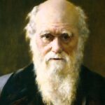 Charles Darwin : le scientifique qui inventa la première chaise de bureau