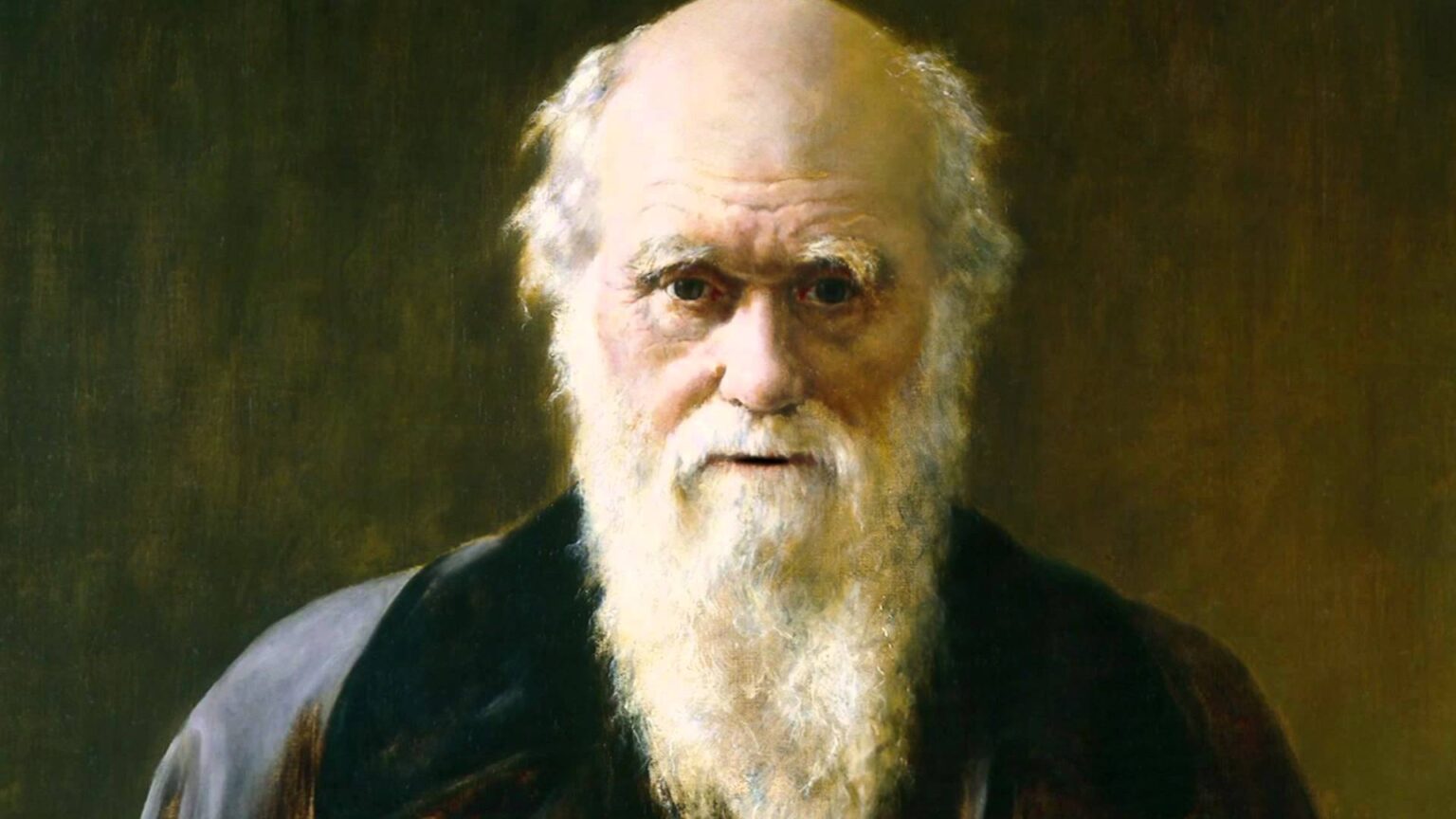 Charles Darwin le scientifique qui inventa la première chaise de bureau