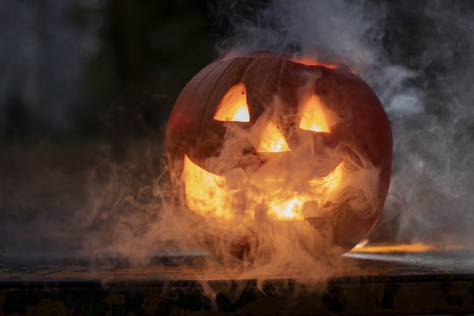 5 faits à connaître sur Halloween - Cultea