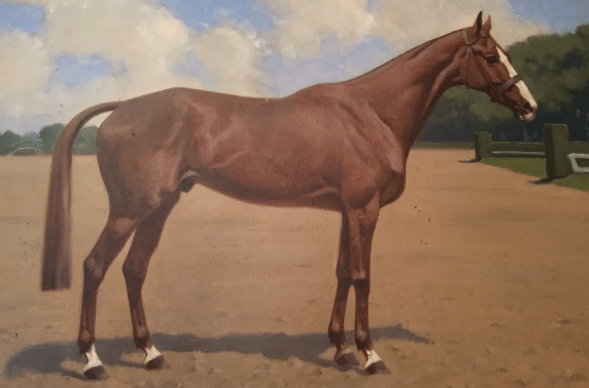 Iris XVI, cheval du général Leclerc, tué par les nazis pour « acte de résistance » - Cultea