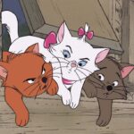Disney prépare un remake des "Aristochats" avec de vrais chats