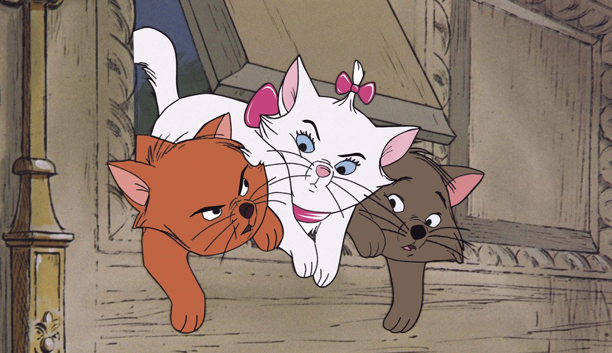 Disney prépare un remake des "Aristochats" avec de vrais chats