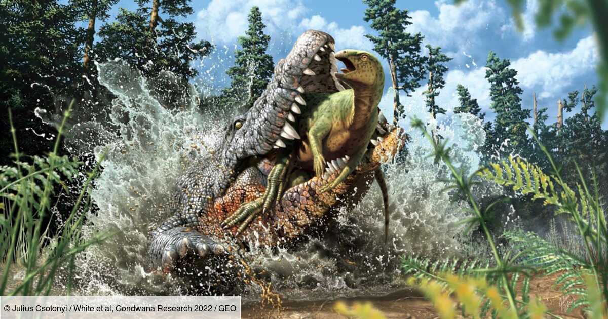 Le dernier repas de ce crocodile de 95 millions d'années était... Un dinosaure !
