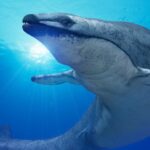 Le Basilosaurus : une baleine carnivore de 36 millions d'années
