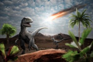 Cette découverte prouverait que l'astéroïde échoué sur la Terre, il y a 66 millions d'années, serait bien à l'origine de l'extinction des dinosaures.