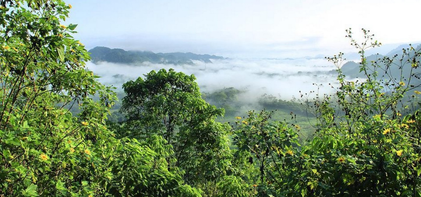 Les vestiges d'une civilisation disparue découverts en Amazonie - Cultea