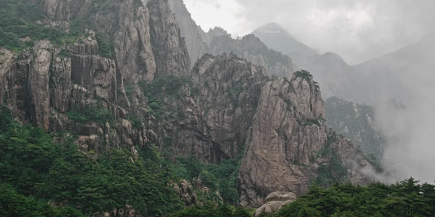 Chine : une forêt primitive retrouvée au fond d'un gouffre