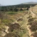 Des routes romaines découvertes au pays de Galles - Cultea