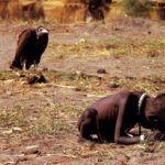 « La fillette et le vautour » : retour sur une photo tristement célèbre