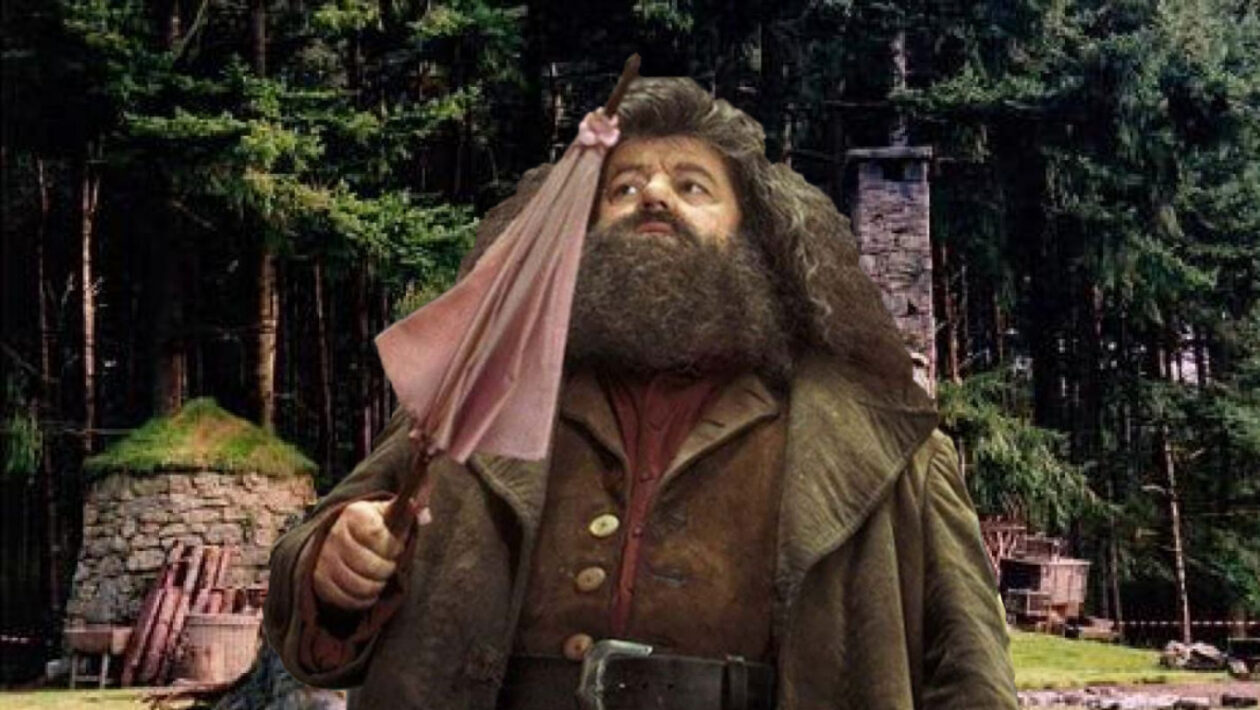 Robbie Coltrane : retour sur la carrière de l'emblématique Hagrid dans "Harry Potter"