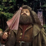 Robbie Coltrane : retour sur la carrière de l'emblématique Hagrid dans "Harry Potter"
