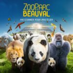 Zoo de Beauval : bonne nouvelle pour les pandas ! - Cultea