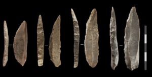 Homme de Néandertal : histoire, culture et différences avec Homo Sapiens