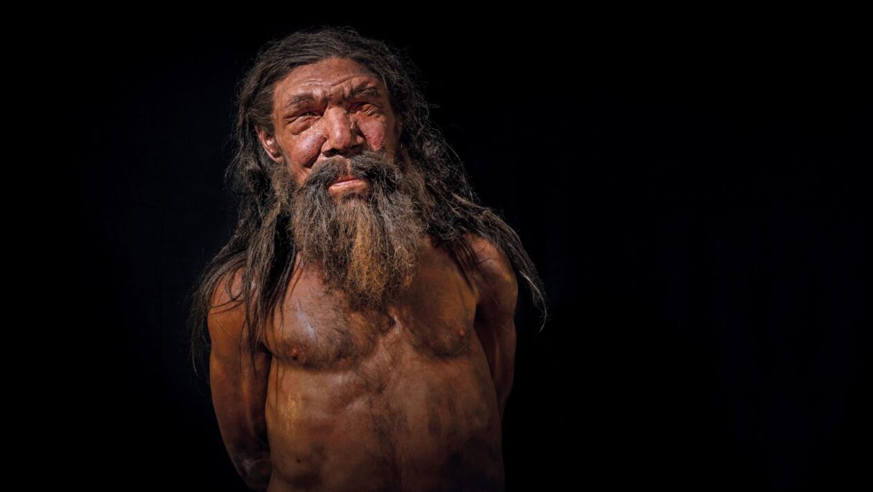 Homme de Néandertal : histoire, culture et différences avec Homo Sapiens