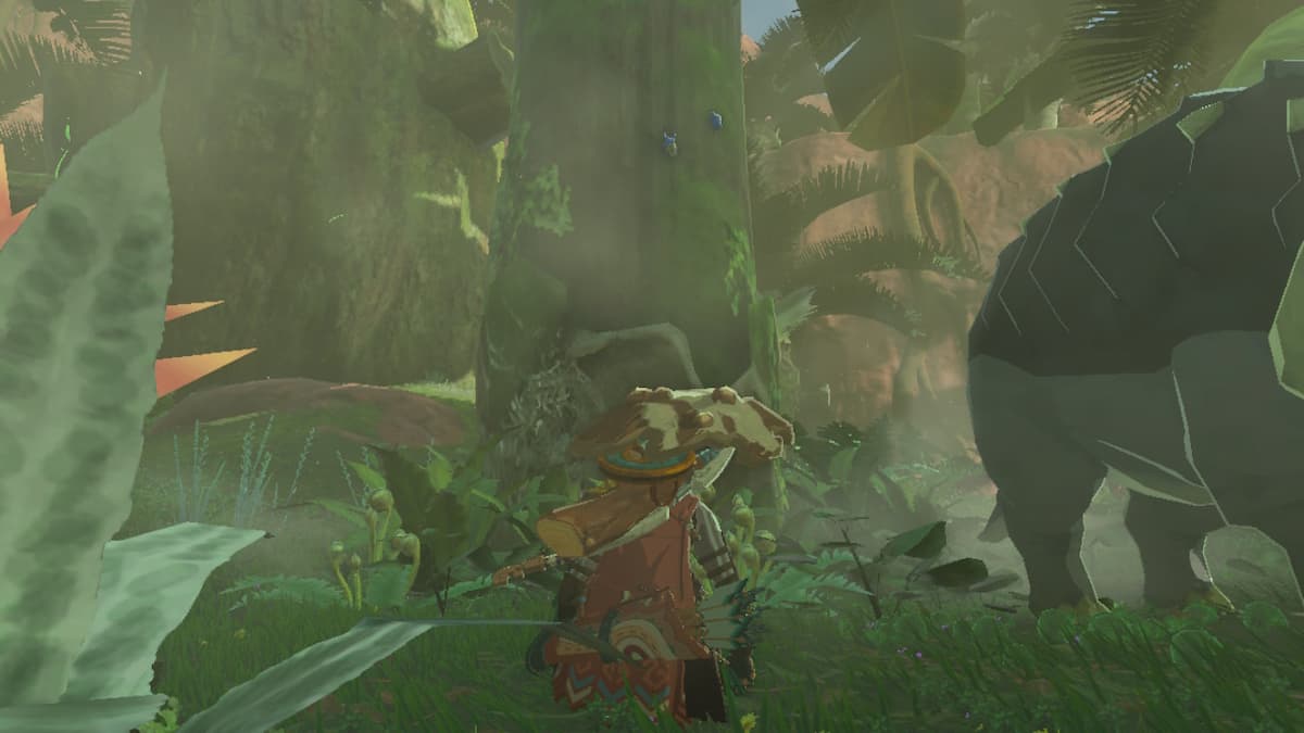 Scarabée lame dans "Zelda Tears of the Kingdom" : où et comment en trouver ?