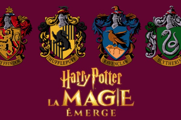 « Harry Potter : la Magie émerge » comment choisir sa maison ?