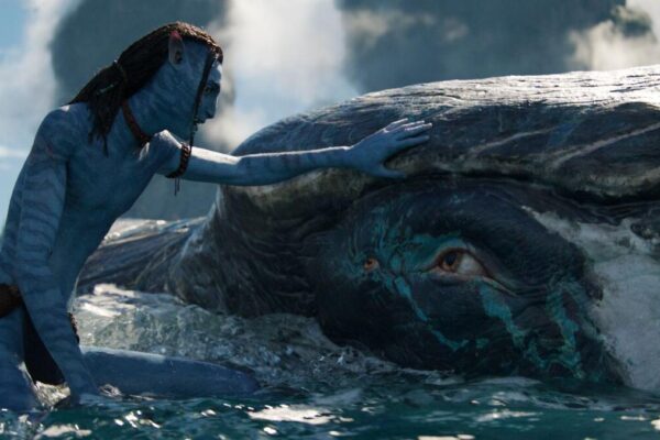 "Avatar 3" : que sait-on sur ce film retardé ?