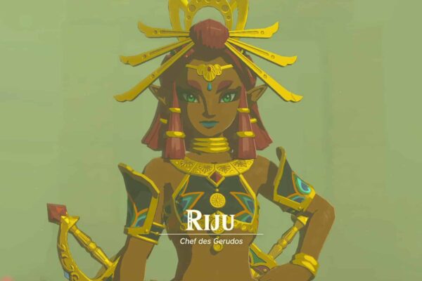 Finir la quête de Riju et la Cité Gerudo : "Zelda Tears of the Kingdom"