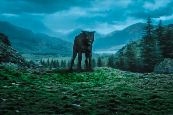 « Harry Potter » : le Sinistros et le Spectre du Chien Noir