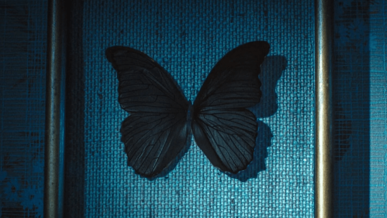 “Les Papillons noirs” : pourquoi il n’y aura probablement pas de saison 2 sur Arte ou Netflix