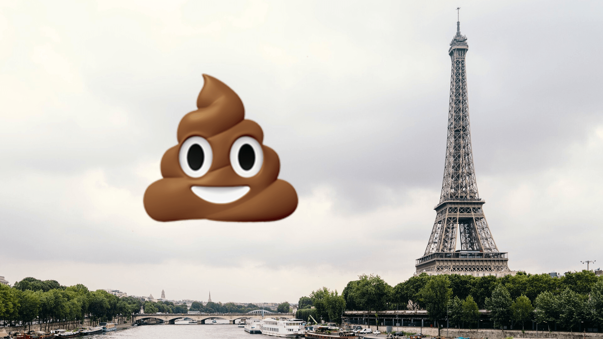 "#JechiedanslaSeinele23juin" : Pourquoi tout le monde veut faire caca dans la Seine ?