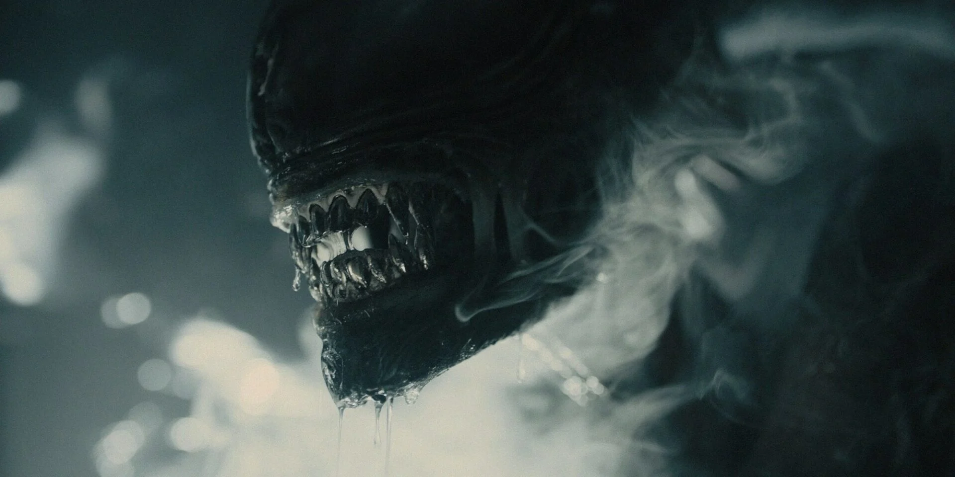 Ridley Scott approuve « Alien : Romulus »