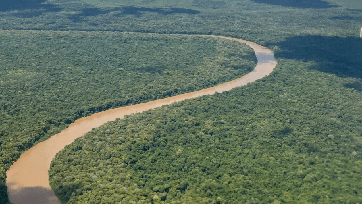 Amazonie : l'état inquiétant de la forêt au Suriname