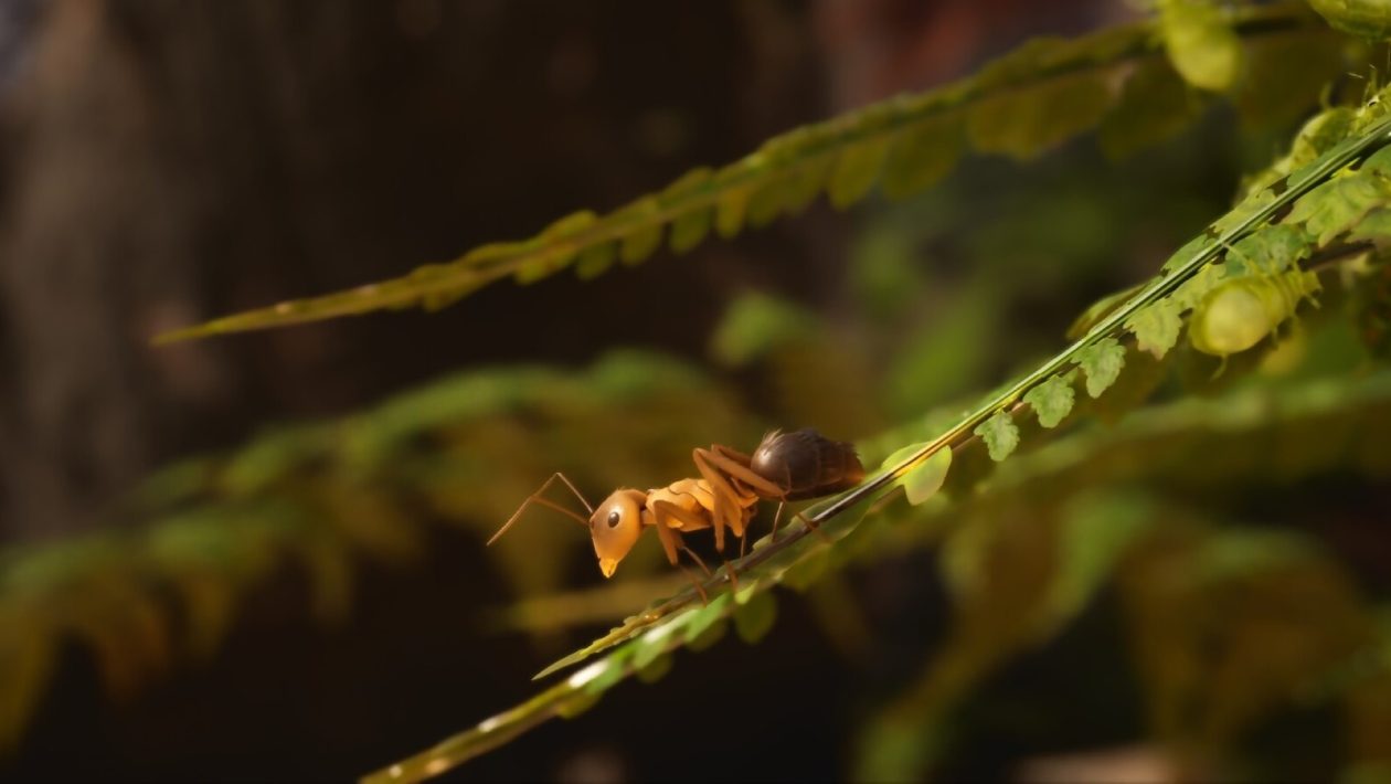 "Les Fourmis" : un projet audacieux qui fourmille d'idées ! (PGW 2024)