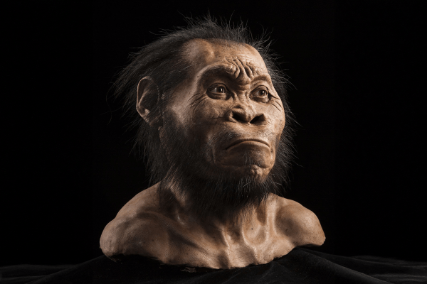 « Homo naledi » : les premiers hominidés à enterrer leurs morts ?