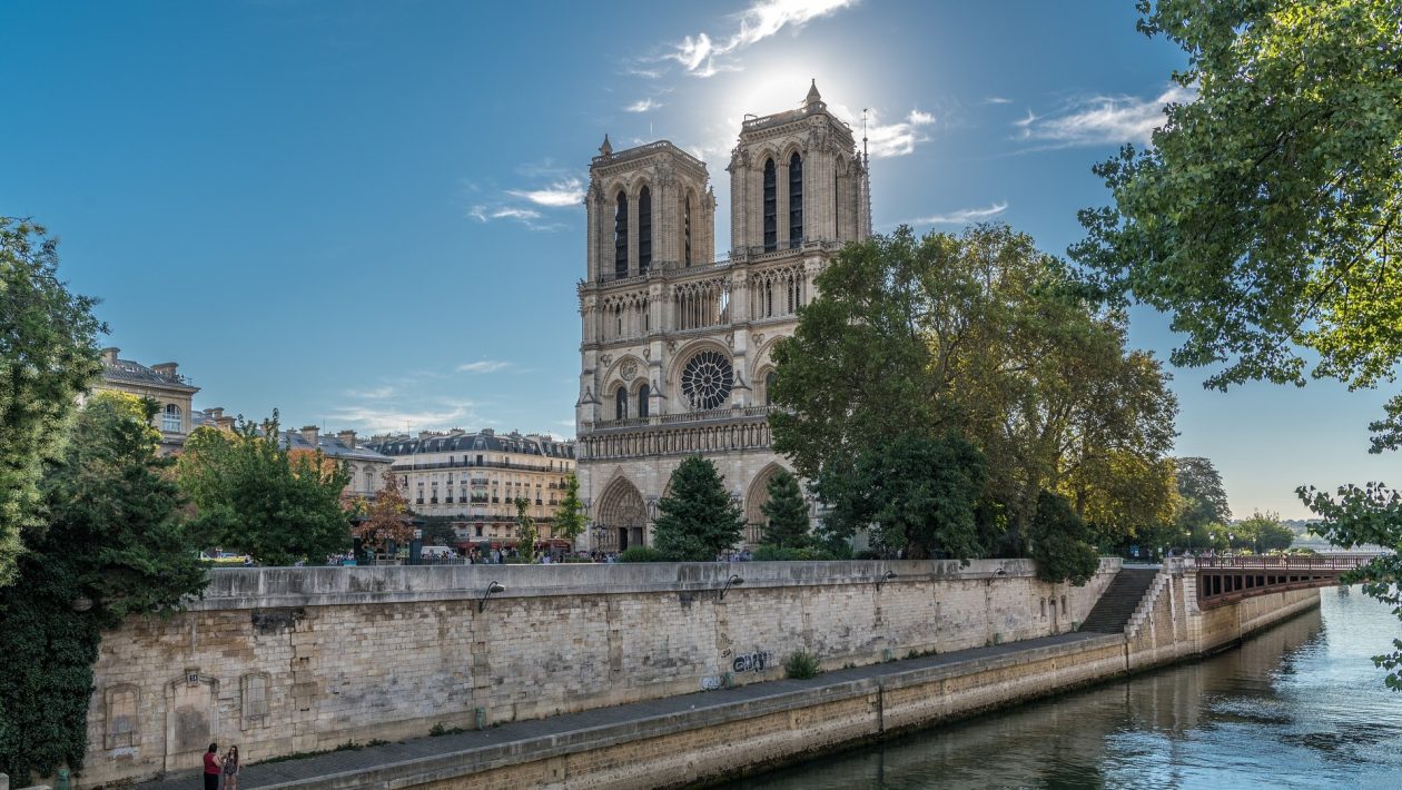 Réouverture de Notre-Dame : découvrez toutes les infos !