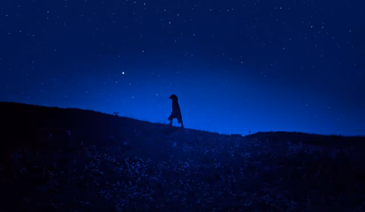 "Le Bonheur est une bête sauvage" : une fable singulière pour l'été ! [Critique]