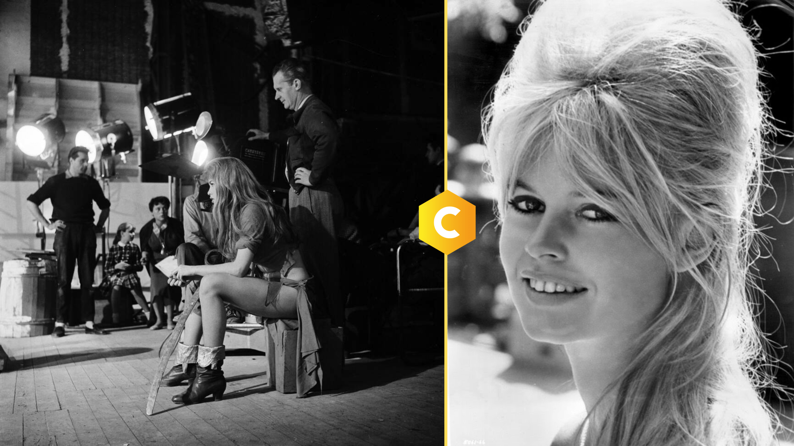 Brigitte Bardot (1934-2025) : d'icône du cinéma à figure controversée